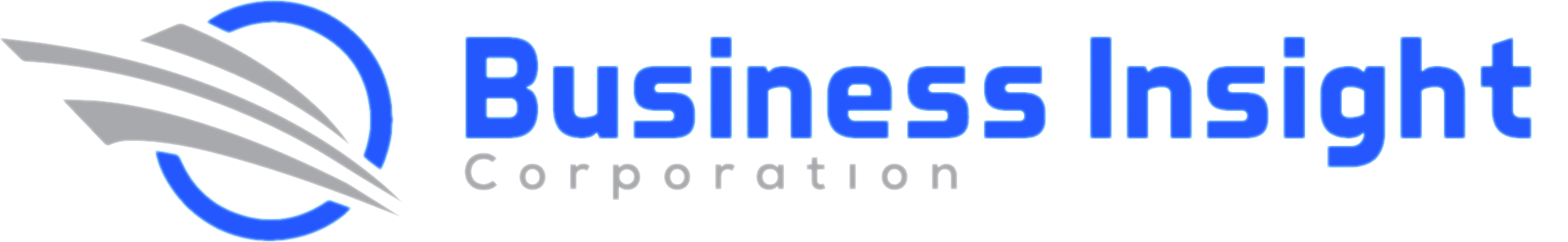 Business Insight Corporation